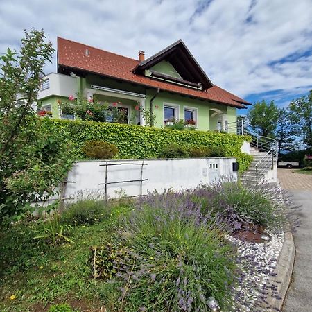 Green House Apartment بيفكا المظهر الخارجي الصورة