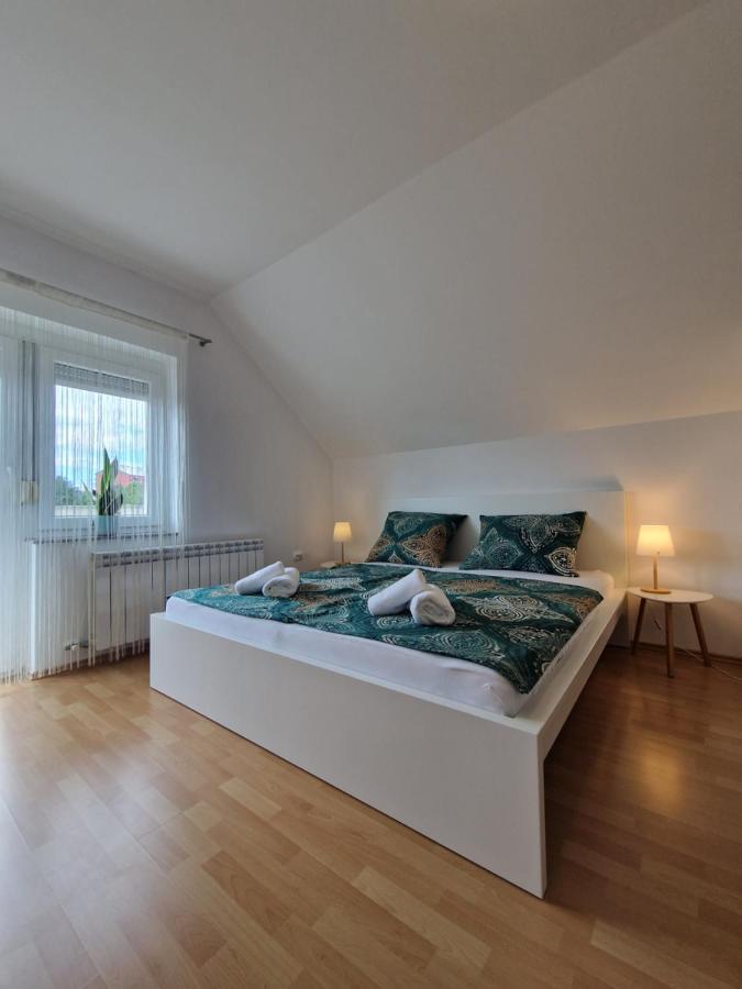 Green House Apartment بيفكا المظهر الخارجي الصورة