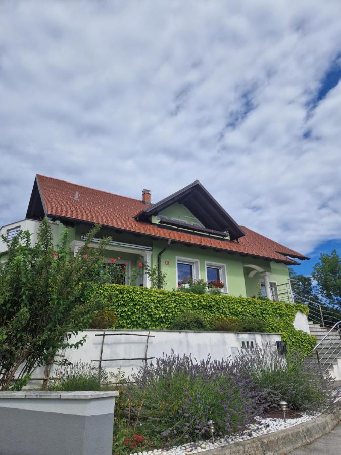 Green House Apartment بيفكا المظهر الخارجي الصورة